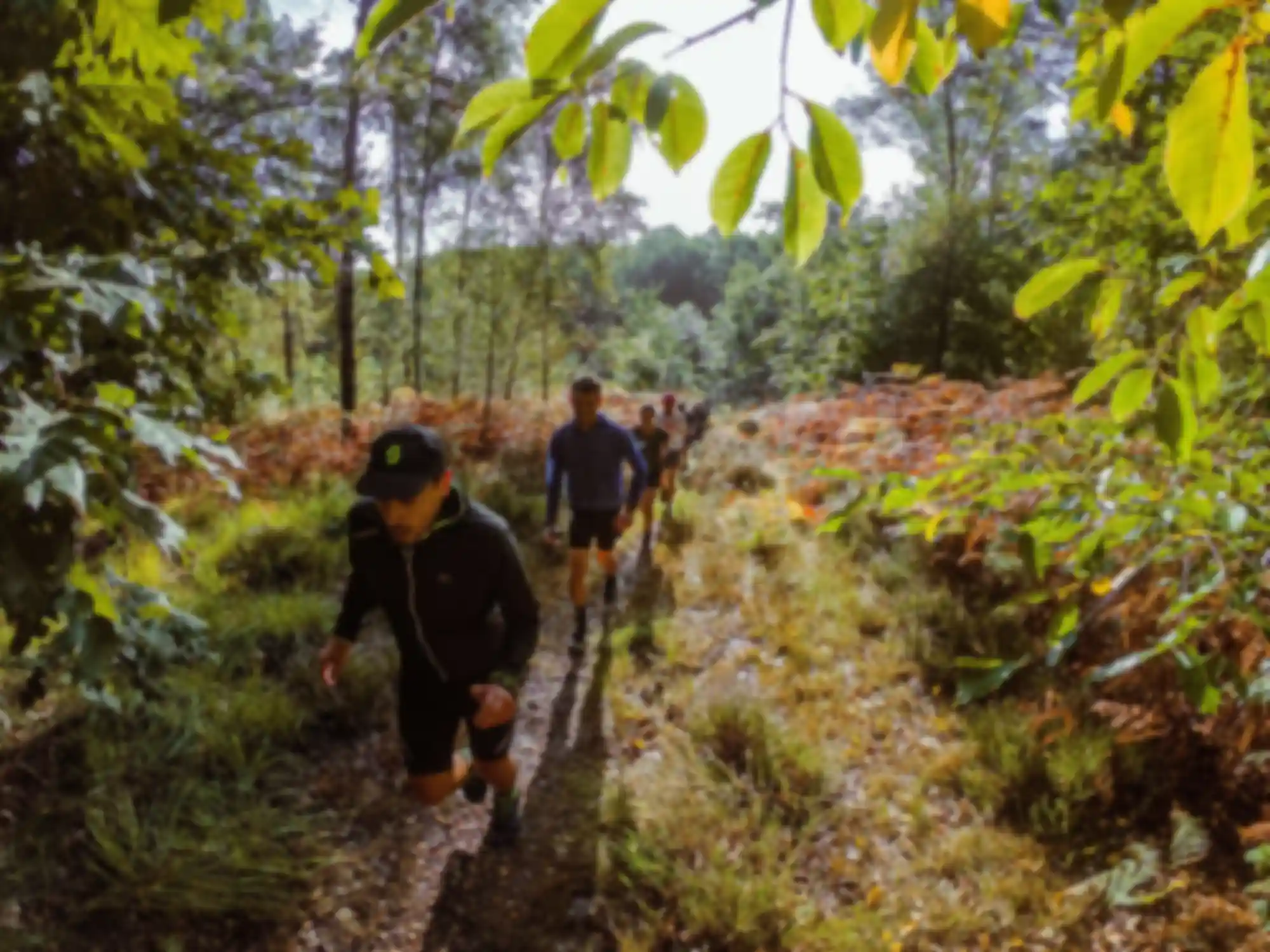 Digging Deeper Social Run